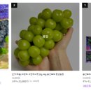 송산농장 이미지