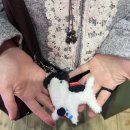 둘리인형뽑기방 이미지