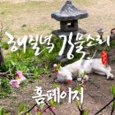 무릉도원면-42 이미지