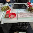 대조경