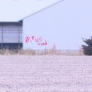 포유농장 이미지