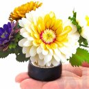 원예가드닝 이미지