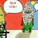 빨리펫 이미지