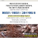신풍산부인과의원 네이버블로그