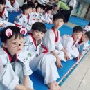 송도 경희대 태권도 이미지