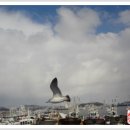 군산수산 - 동작구 노들로 674 | 군산수산