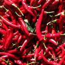 세동민박 이미지