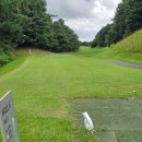 한림안성 | 한림안성CC 파3 골프방문후기