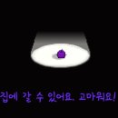 조자마트