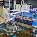 어시장 활어회직거래 판매장 이미지