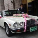 댄스 챔피언 이미지