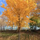 씨유진주파란하늘점 | 가을빛이 내려앉은 진주 빛마루, 낮과 밤이 다른 힐링 산책(진주 인근 볼거리)