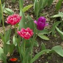 4월25일 뉴스브리핑 이미지