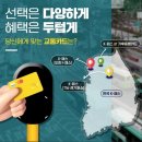 K-패스냐 기후동행카드냐…‘알뜰교통카드’ 선택 방법은? 이미지