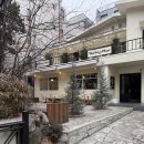 신당 좋아요 동물병원 | 신당역 베이글 맛집 어글리베이커스베이글 평일 낮 방문 후기