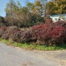 죽계경로당 이미지