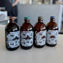 버드나무양조장(주) | 강릉 여행에서 사온 기념품 버드나무브루어리 수제맥주 4종 맛평가
