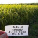 현대농장 이미지