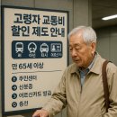조항경로당 | 고령자 교통비 할인 제도 완벽 가이드 🚌