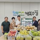 희망과일 케이에스피뉴스