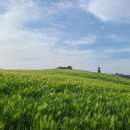 이촌로72길 이미지