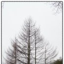 신선농원 이미지