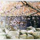 수채화 - 논산시 | 수채화