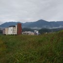 정동1교 이미지