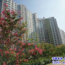 유천우미린아파트 이미지