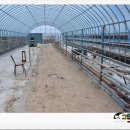 재신농장 이미지