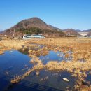 요천묘 Daum카페