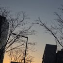 윈윈헬스 | 심신통합 헬스케어 온라인 코칭 4일차 후기 / 충전의 구조