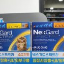 경기도 수원시 장안구 경수대로1044번길 네이버블로그