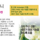 네추럴 팜 이미지