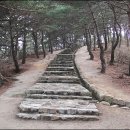 세종대왕자 태실 이미지