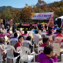 봉황섬터 이미지