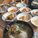 망월로 | 의정부 삼계탕 맛집 싸리골&amp;정답계/ 한방삼계탕, 닭곰탕 후기