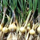 크린스마트 이미지