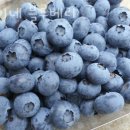 환이네농장 이미지