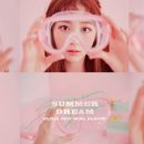 엘리스 티브이데일리