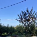 상석목장 이미지