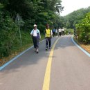 한강 물길걷기(2015.6.13토)도농역-토평교-수석동-숲터널-벼룩시장-미사대교-생활체육공원-덕소역-덕소고교-팔당대교-남양주역사박물관-팔당역(14.3km) 이미지