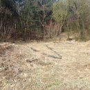 광천농장 2 이미지