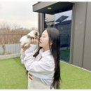 대실역남로4길 이미지