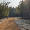 신월공원 이미지