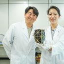 해바라기태양광 이미지