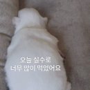 온나다방