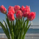 롯데백화점 중동점 이미지