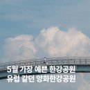 애니카랜드 신목동점 | 양화한강공원 피크닉 후기 + 주차 배달 돗자리 명당 총정리, 선유교 노을까지 좋았던 서울 한강공원