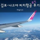 김포건강랜드 | 김포 나고야 피치항공 후기, 수하물 규정 모바일 체크인 1터미널 등 꿀팁 총정리